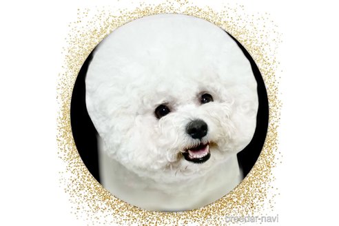 ちっちちゃん1枚目