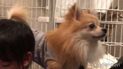 くん1枚目