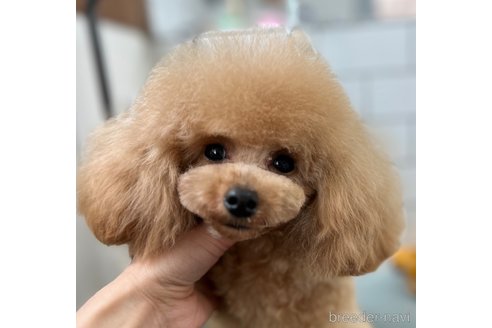 くん1枚目