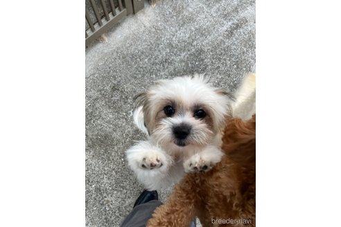 あいちゃん1枚目