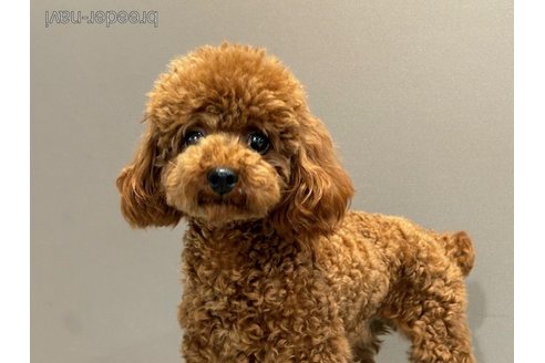 くん1枚目