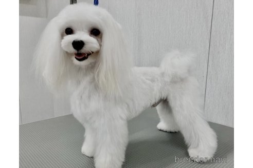 ウィット君くん1枚目