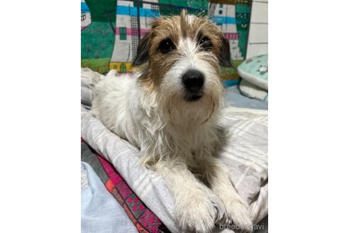 さくらちゃん1枚目