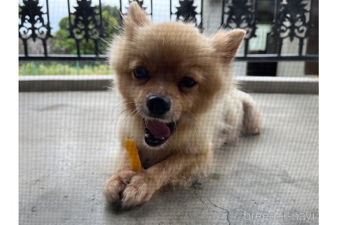 ちゃん1枚目
