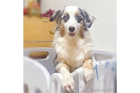 ちゃん1枚目