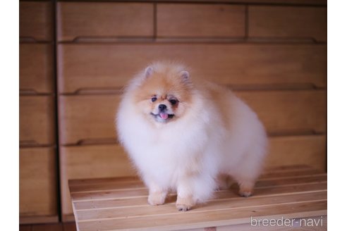 ちゃん1枚目