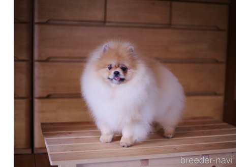 ちゃん1枚目