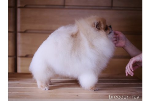 ちゃん1枚目