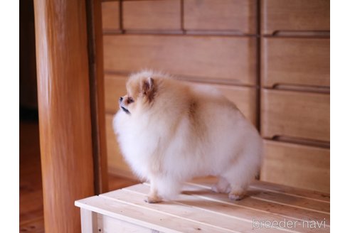 ちゃん1枚目