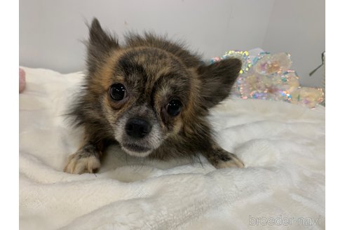 テツくん1枚目