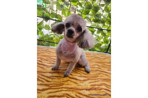 ちゃん1枚目