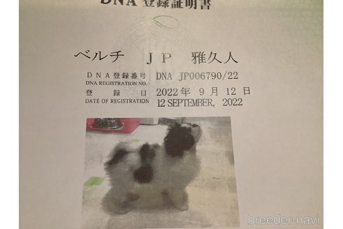 雅久人くん1枚目