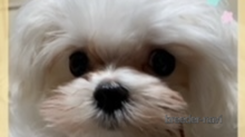 くん1枚目