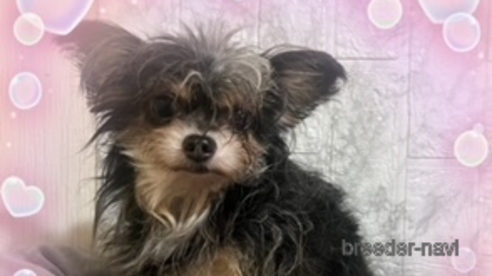 ちゃん1枚目