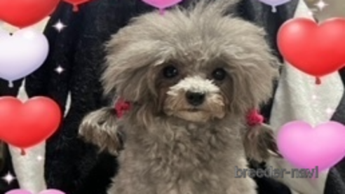 ちゃん1枚目
