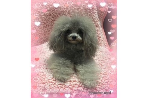 ちゃん1枚目