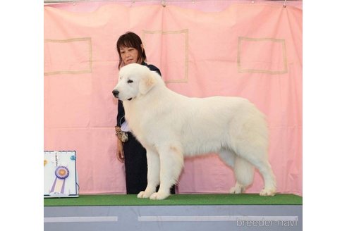 ちゃん1枚目