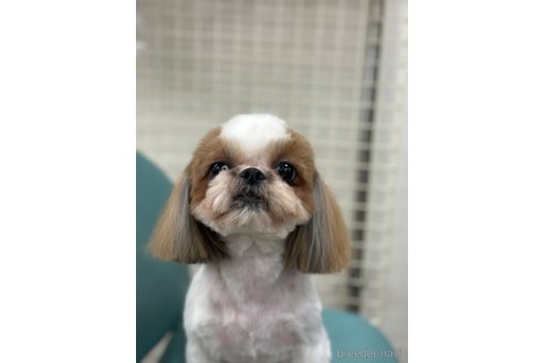 ふうこちゃん1枚目
