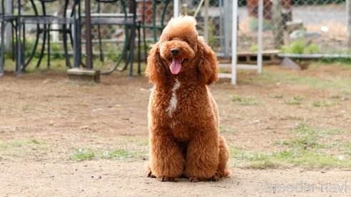 ニモくん1枚目