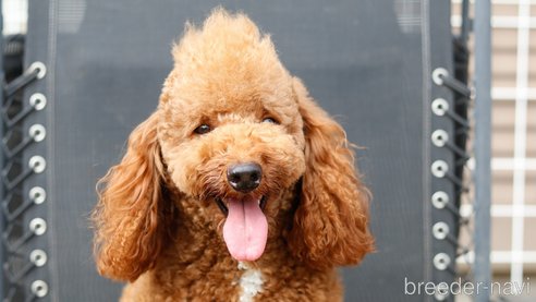 ニモくん1枚目