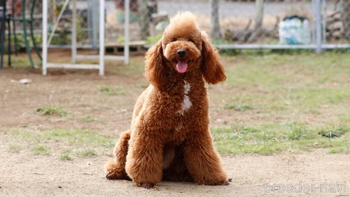 ニモくん1枚目
