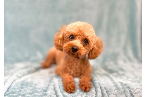 ちゃん1枚目