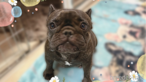 蛍ちゃん1枚目