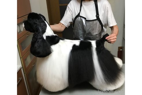 フリックくん1枚目