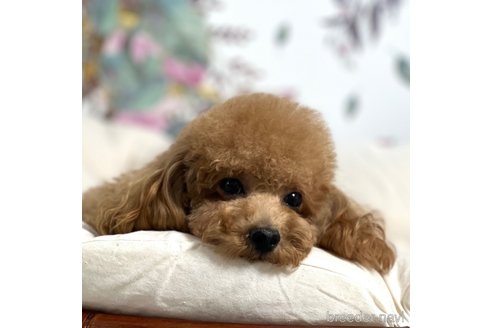 ユアちゃんちゃん1枚目
