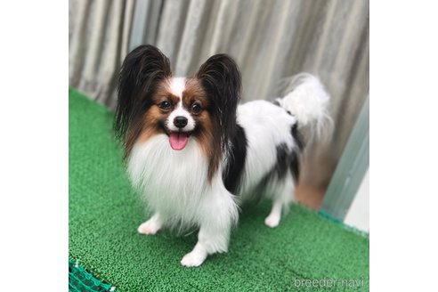 コウメちゃん1枚目
