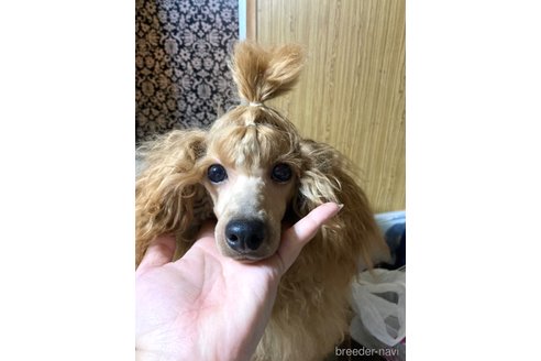 ののちゃん1枚目