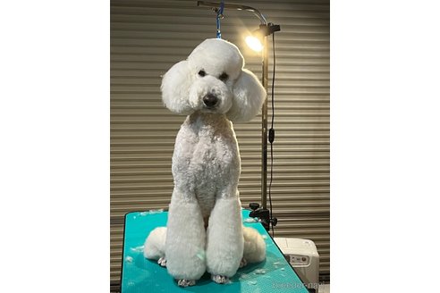くん1枚目