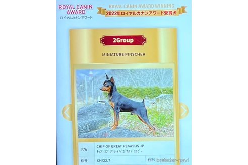チップくん1枚目