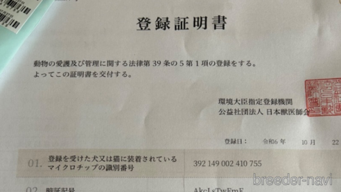 成約済の北海道のティーカッププードル-347082の21枚目