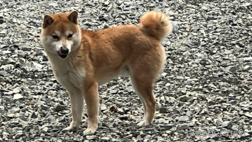 くん1枚目