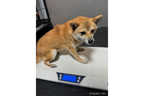ちゃん1枚目