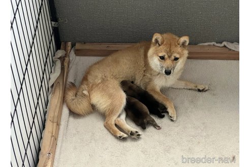 ちゃん1枚目