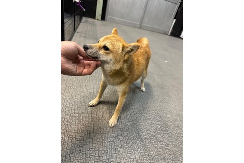 ちゃん1枚目