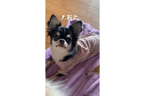 ちゃん1枚目