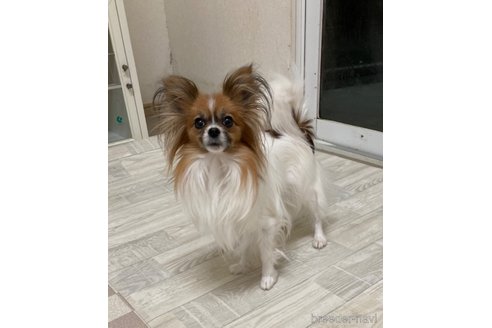 ひまりちゃん1枚目