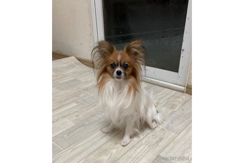ひまりちゃん1枚目