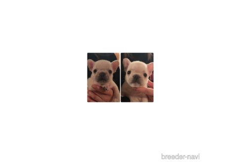 ベリーちゃん1枚目