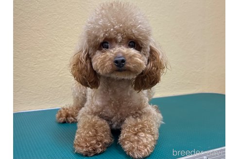 モッチーくん1枚目