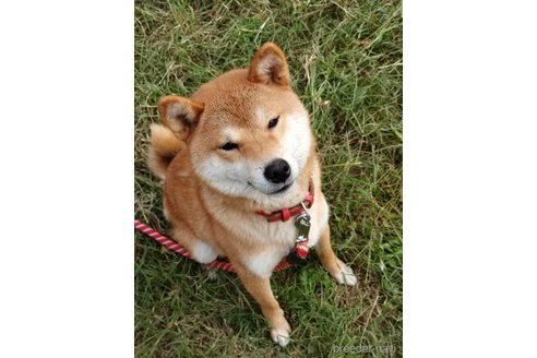 ちゃん1枚目