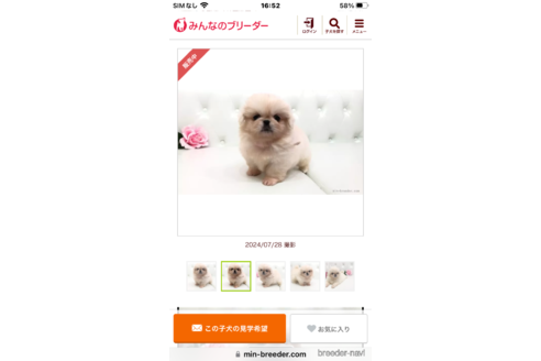成約済の埼玉県のペキニーズ-322149の5枚目