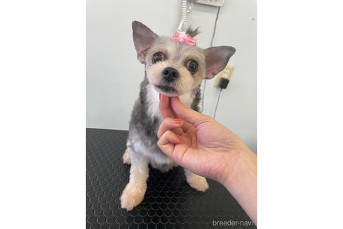 ミッキーちゃん1枚目