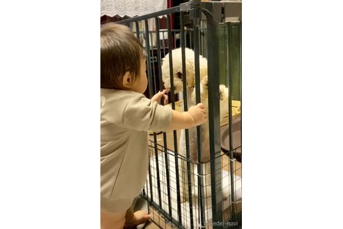 おこめちゃん1枚目