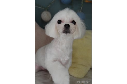 ちゃん1枚目