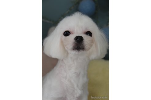 ちゃん1枚目