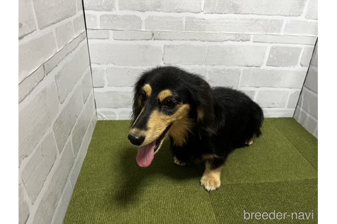 かなこちゃん1枚目